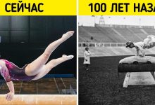 Photo of Что нового в мире спорта