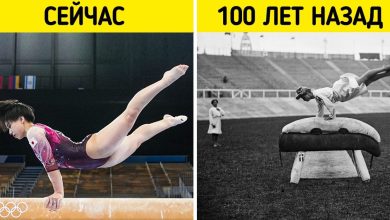 Photo of Что нового в мире спорта