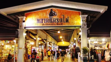 Photo of Плавание: вода и скорость